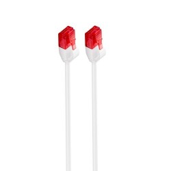 Ewent IM1036 cable de red...