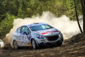 pepe lopez 208 rally cup langres