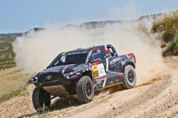 carnicer-peinado baja lorca 25 toyota hilux